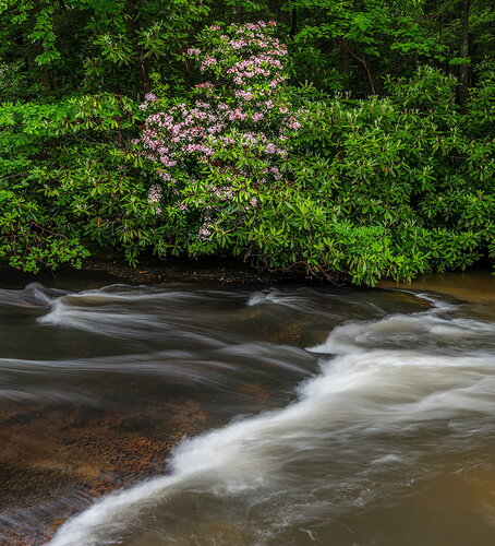 _DSC0298 copy # 2.jpg