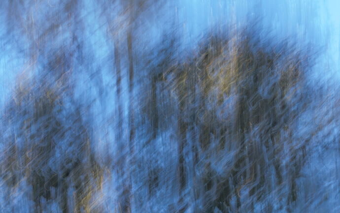 _49A1272-Edit