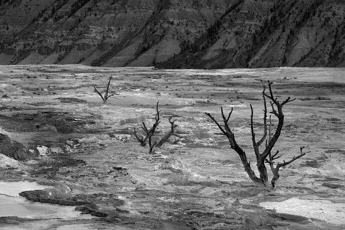 Revision 1 - Desolate Beauty 2_MT_Yellowstone_06202026-061926_0629-1_2nd Revision.jpg