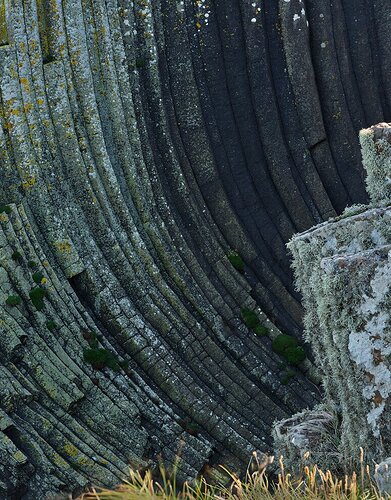 Clamshell and Clifftop r1
