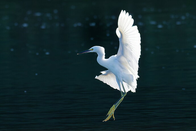 _DSC1163_DxO-1