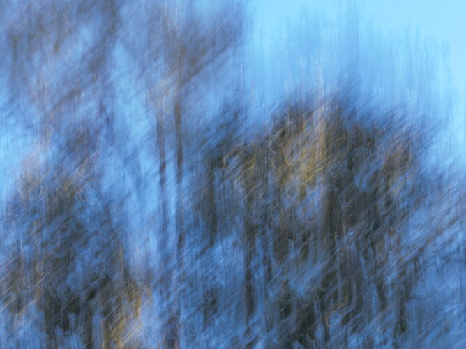 _49A1272-Edit.jpg