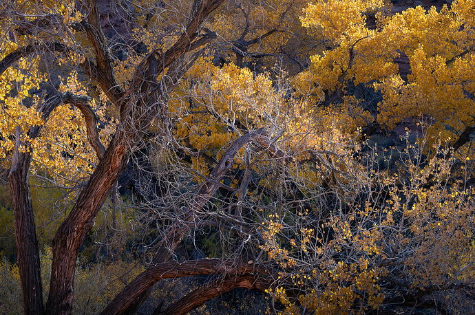 Trevor Top 10--5.jpg