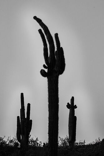 823928752f439f607441a5502f643ba165977cd6 copy