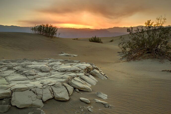 Parting Shot at Mesquite Dunes