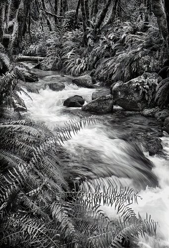 Thompson Creek