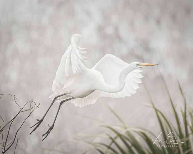 DSC_2418-Edit-Edit.jpg