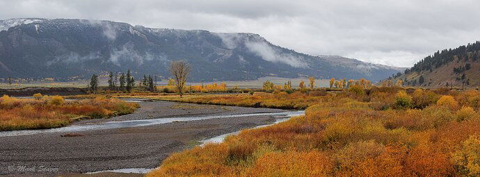 Fall Colors, Soda Butte Creek.jpg