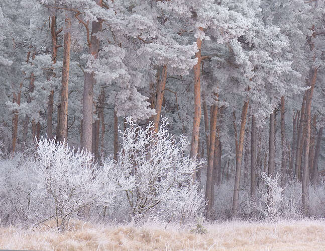 2025-12-29_GGS_7449-edited