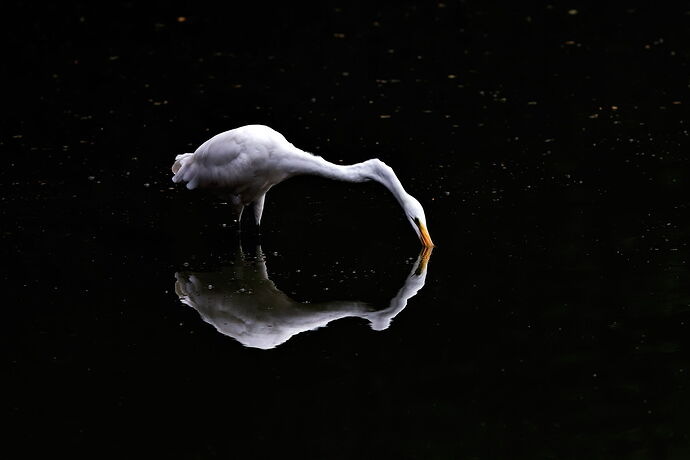 _MG_5974.jpg