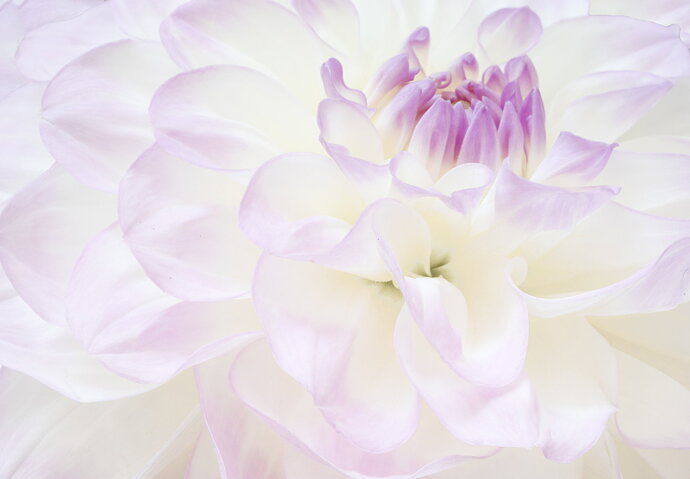 Original - 2026-09-06 16-05-14 B,Radius8,Smoothing4 -Edit.jpg