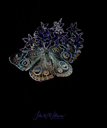 054A7544 Neon Action 3