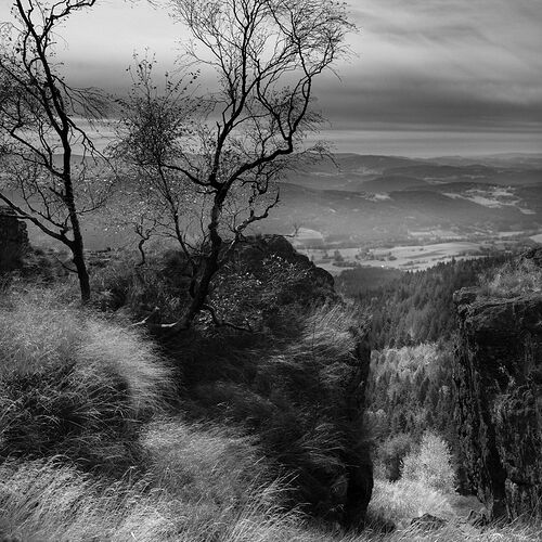 L1030873.jpg
