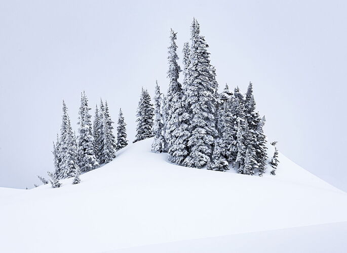 Mt. Rainier Snow..jpg