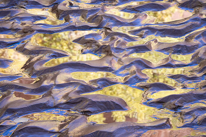 Trevor Top 10--4.jpg