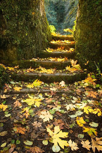 Stairway to Autumn