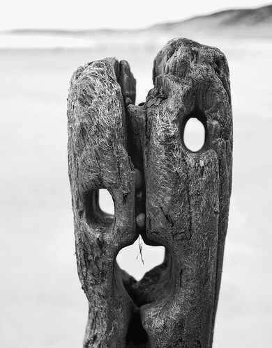 The-Scream-mono-ntl.jpg