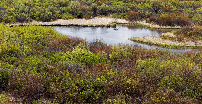 South Madison Flood Plain