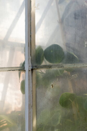 Additional image 1