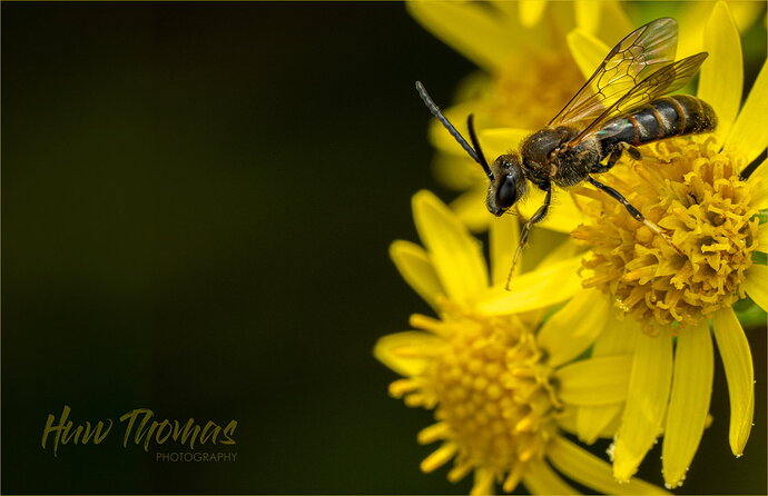 20260803-DSC00332