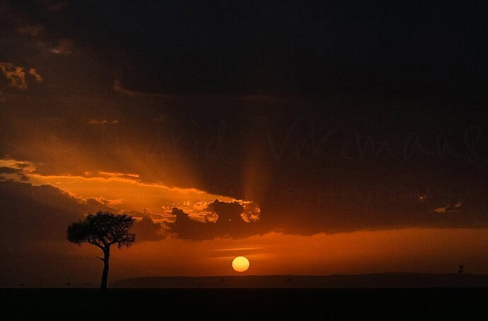 Original - sunrise masai mara.jpg
