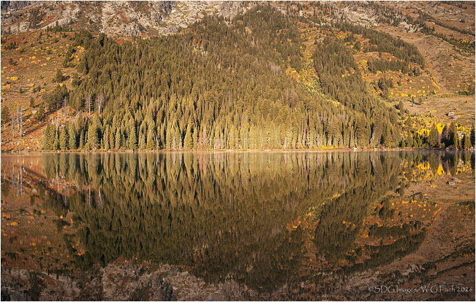 Symmetry