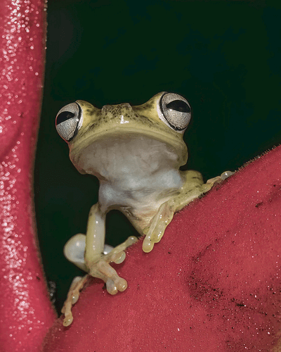 Screenshot 2026-02-07 130616