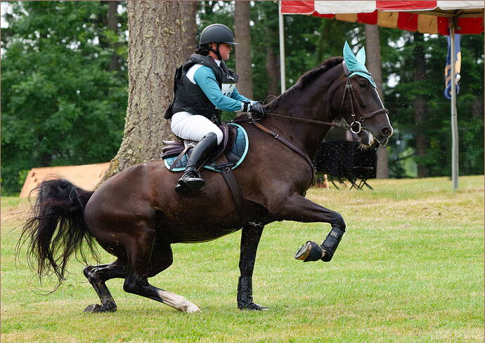 -20250614-_SA11099-Aspen Farms-DxO_DeepPRIME 3-Edit.jpg