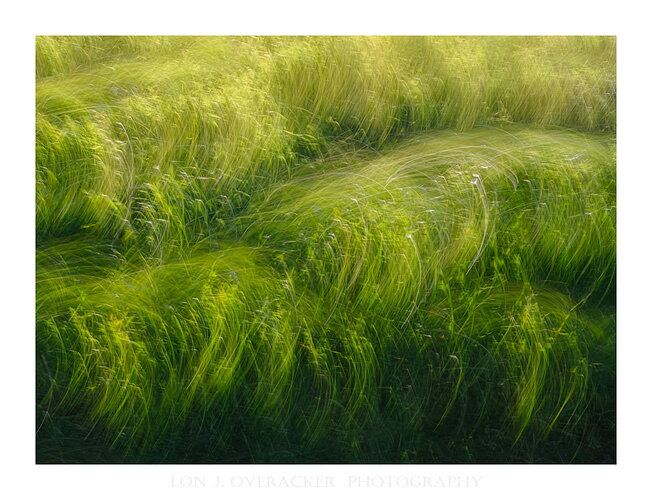 Original - 56ZS0190ICM-npn.jpg