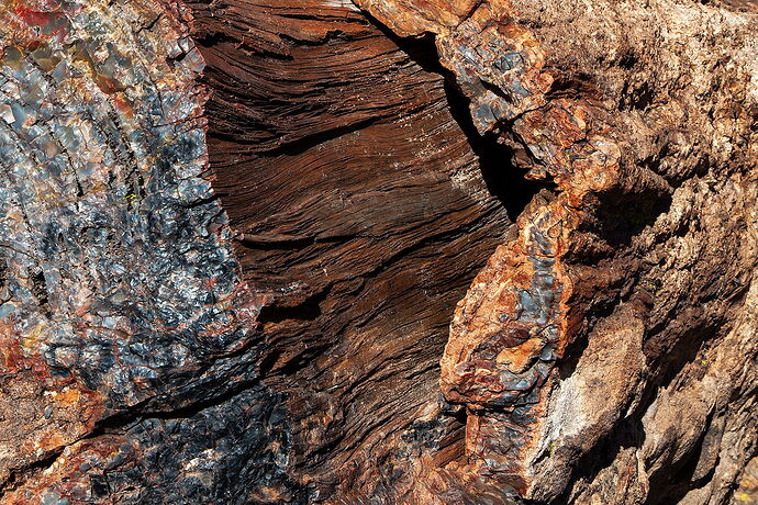 WS8F9279 crop.jpg