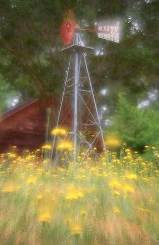 Dreaming Spring 864A8296A