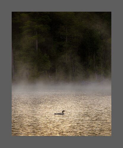 Mist,-light,-and-loon2a