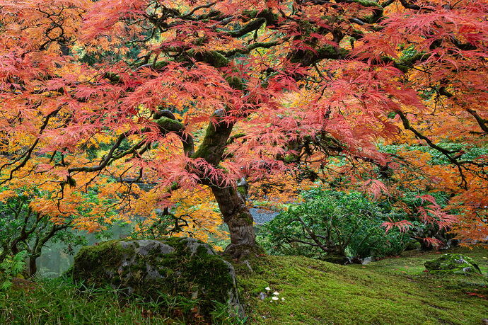 IMG5DIIIPost10k_4072NPNWebLrg-NPNWebLrg 4.9mb-5