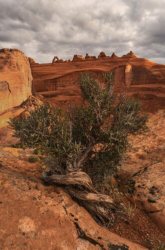Stormy Sunrise from Delicate Arch Viewpoint copy