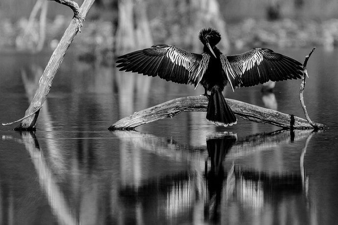 It's Drying Time Again