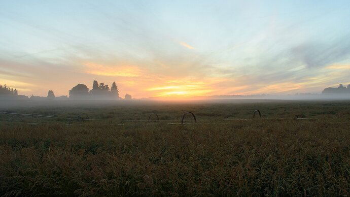 Sunrise On the Valley