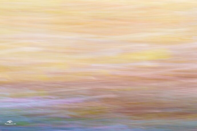 -20231021-_A1_8271-BooCoda-Edit