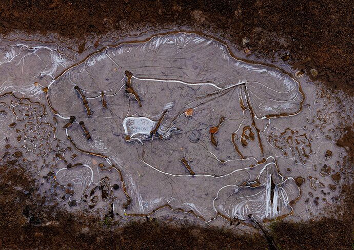 Ice Trail Crop 1