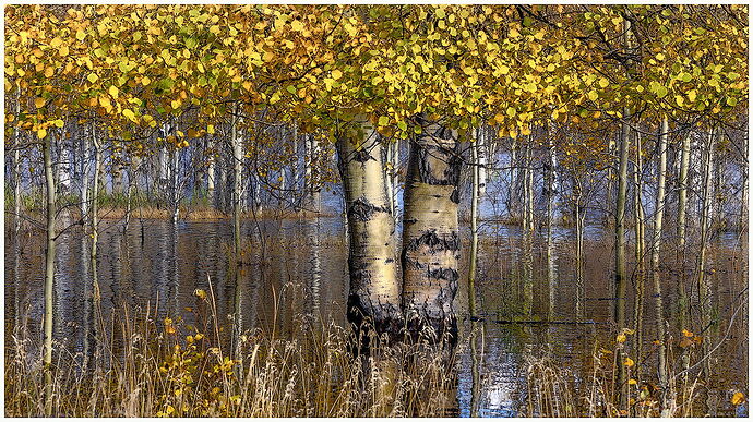 Aspen Re-edit copy