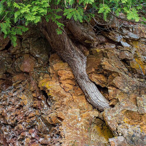 Kristen_SmithJune 15, 2021P1059794-HDR