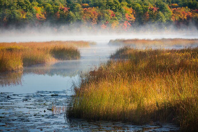 Autumn Channel