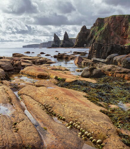 Duncansby Head.jpg