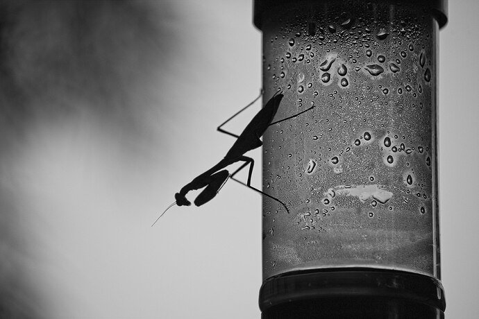 Original - DSC_0846_01.jpg
