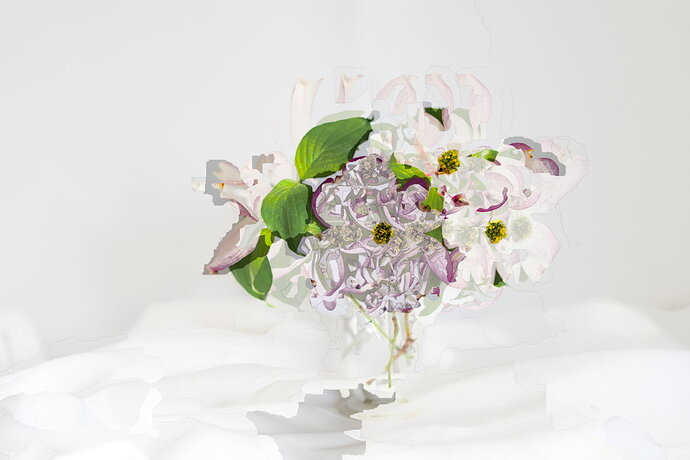 Dogwood.jpg