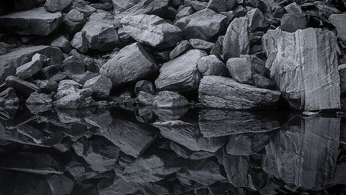 20241022_Utah_ZionNationPark_EmeraldPoolsAndSandBeachTrail_107-001_BW copy 2