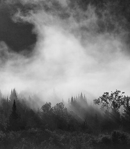 _DSC2687-02