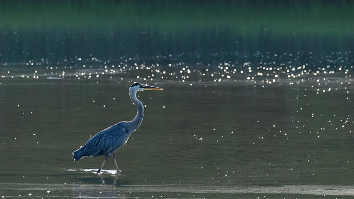 _DSC1224_DxO-1