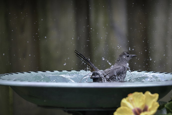 _DSC6238.jpeg