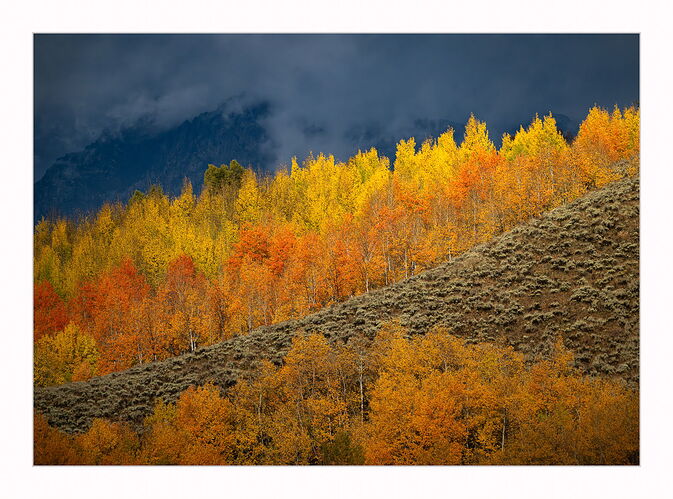 _DSC5910-Edit-2
