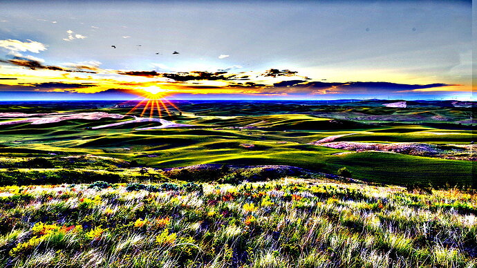 _WD_3000-HDR-320-321-322-801